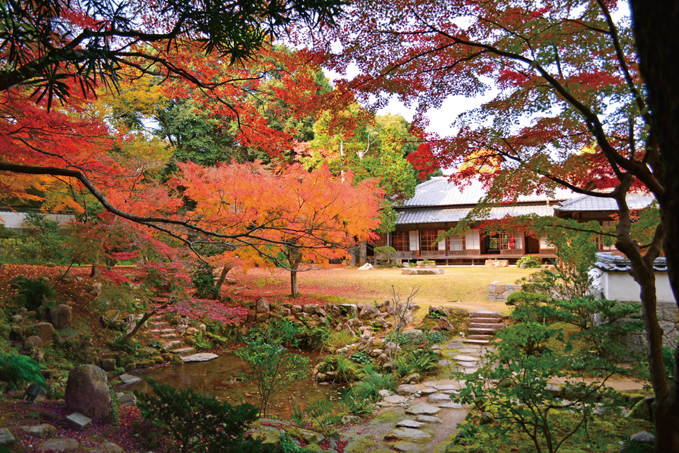 山口県特集】歴史ある名所で楽しむ、秋の紅葉とお抹茶体験 - 地元情報